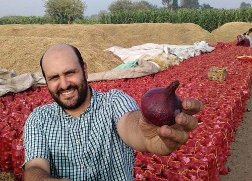 Onion packing