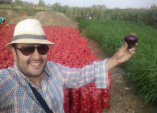 Fresh Egyptian onions gallery