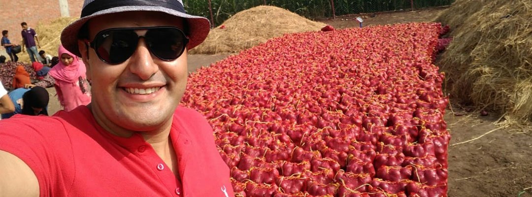 Fresh Egyptian onions gallery