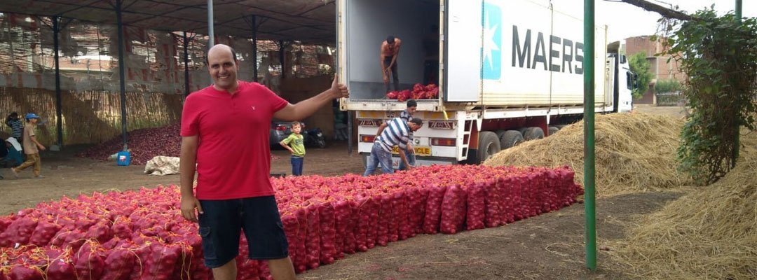 Egyptian onion export